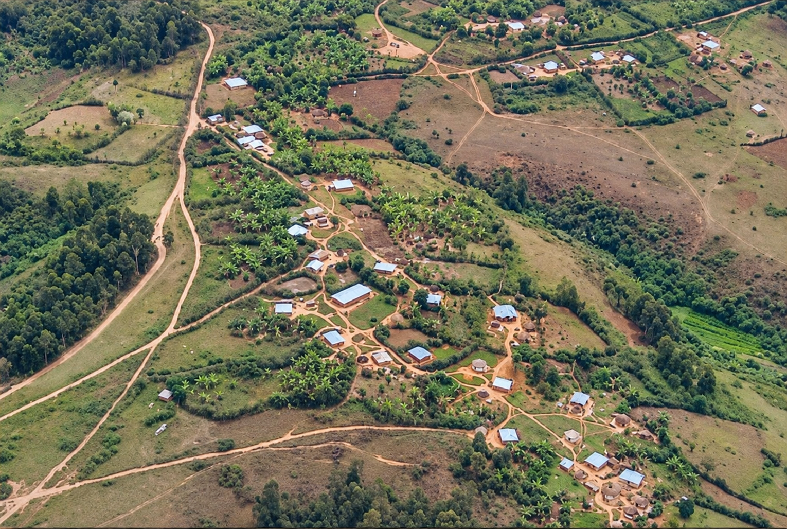 Environment & Climate Resilience